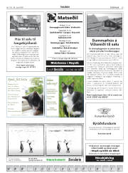 Síða 29