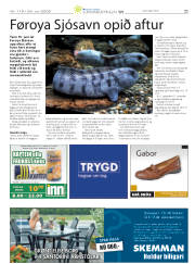 Síða 45