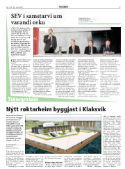 Síða 15