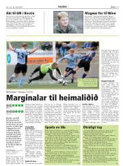 Síða 19