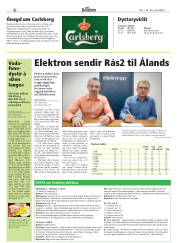 Síða 22