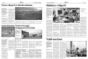 Síða 4