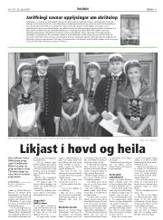 Síða 11