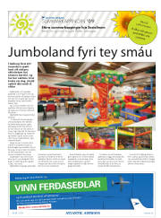 Síða 33