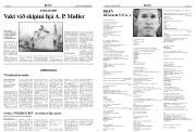 Síða 6