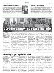 Síða 11