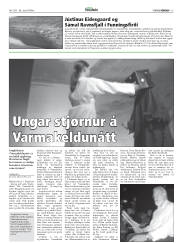 Síða 13