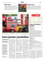 Síða 17