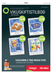 Síða 22