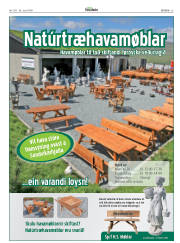 Síða 23