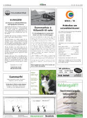 Síða 36