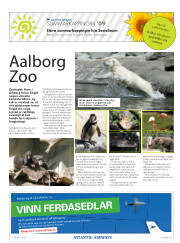 Síða 41