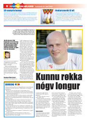 Síða 8