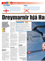 Síða 12