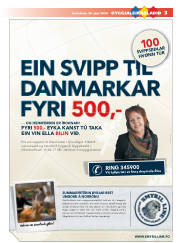 Síða 3