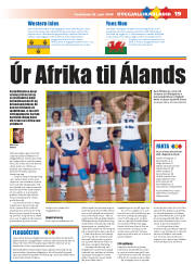 Síða 19