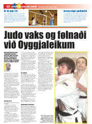 Síða 22