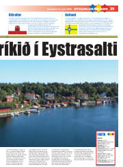 Síða 25