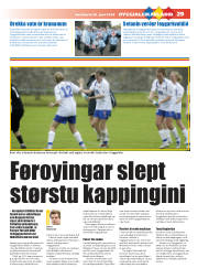 Síða 29