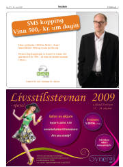 Síða 5