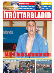 Síða 17