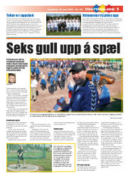 Síða 21