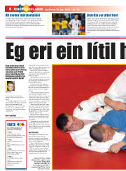 Síða 22