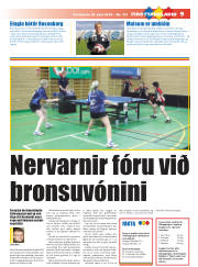 Síða 25