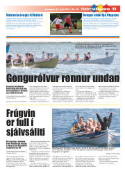 Síða 29