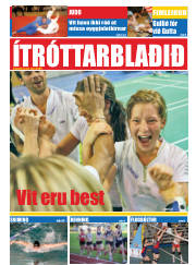 Síða 17