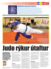 Síða 19