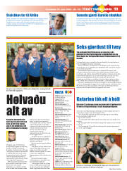 Síða 29