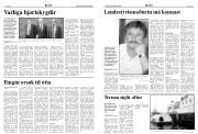 Síða 4