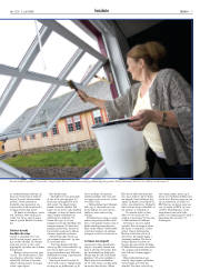 Síða 7