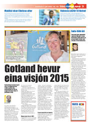 Síða 21