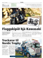 Síða 31
