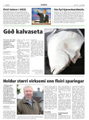 Síða 2