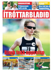 Síða 15