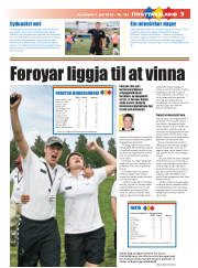 Síða 17