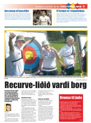 Síða 19