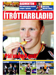 Síða 17