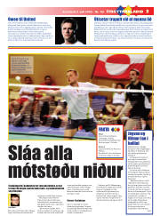 Síða 19