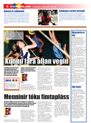 Síða 20