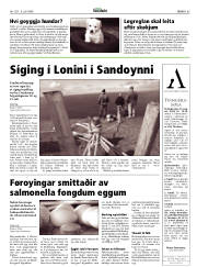 Síða 33