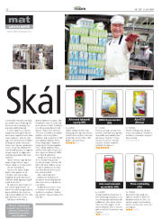 Síða 4