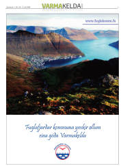 Síða 9