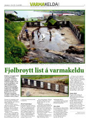 Síða 15