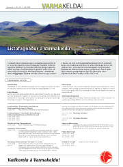 Síða 17