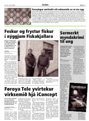 Síða 11