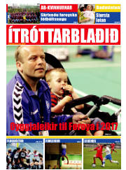 Síða 17